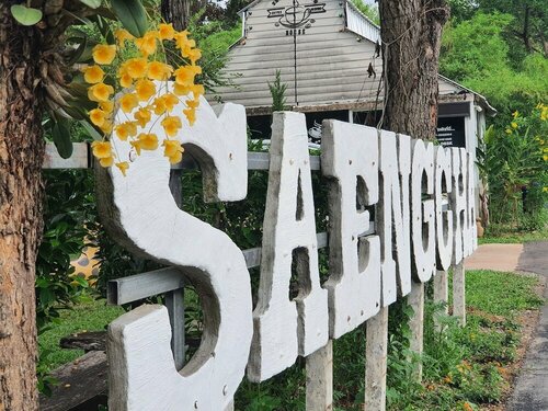Гостиница Saengcha Farm Resort