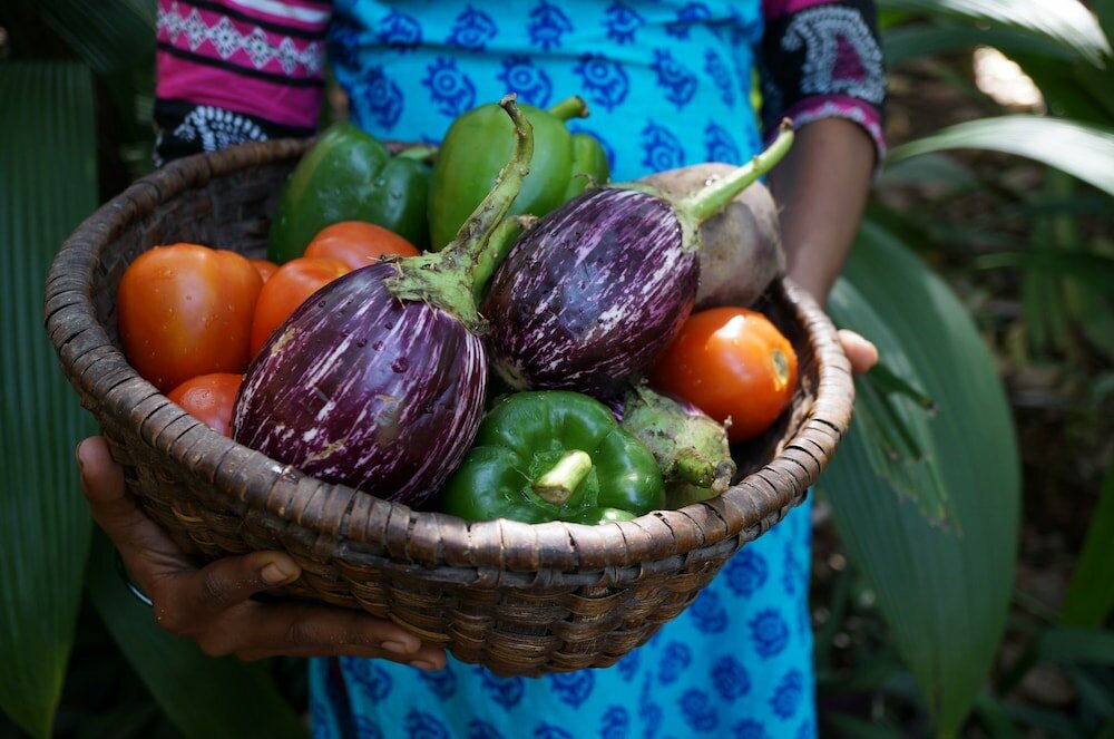 Фото Khaama Kethna Wellbeing Retreat Centre