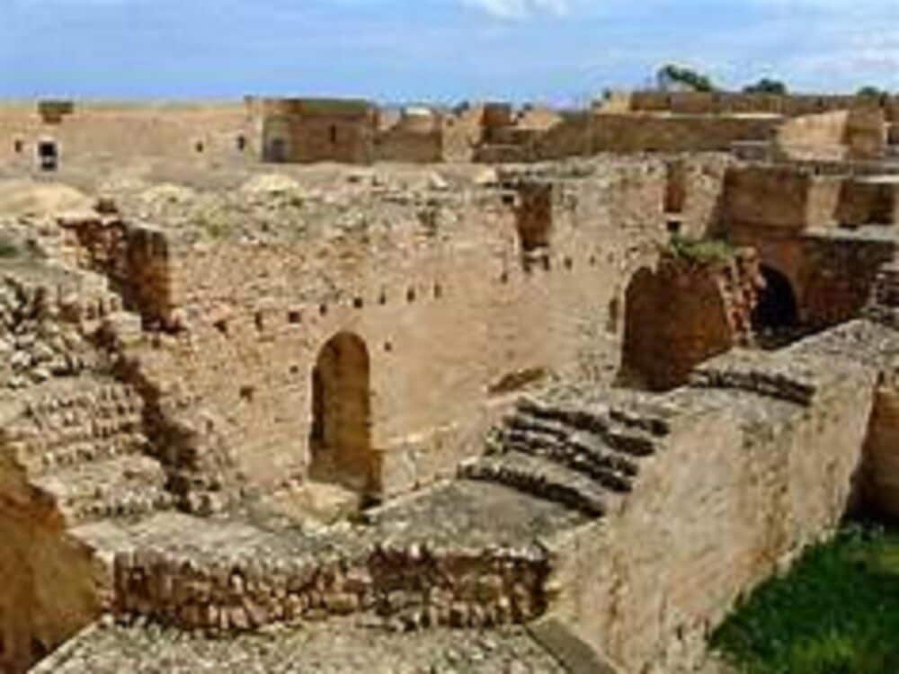 Фото Hôtel Les Palmes d'Or