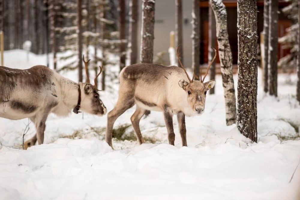 Фото Nova Skyland Hotel