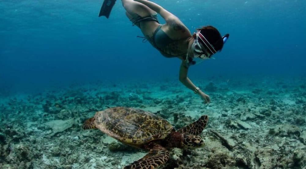 Фото White Sand Dhigurah