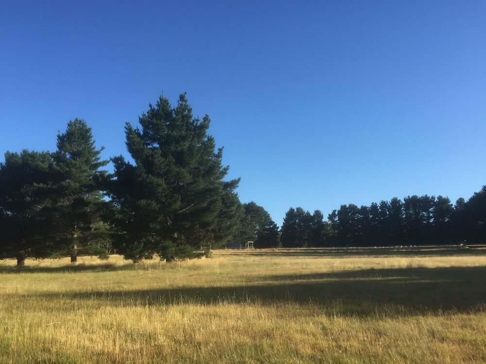 Фото Helen's Homestead