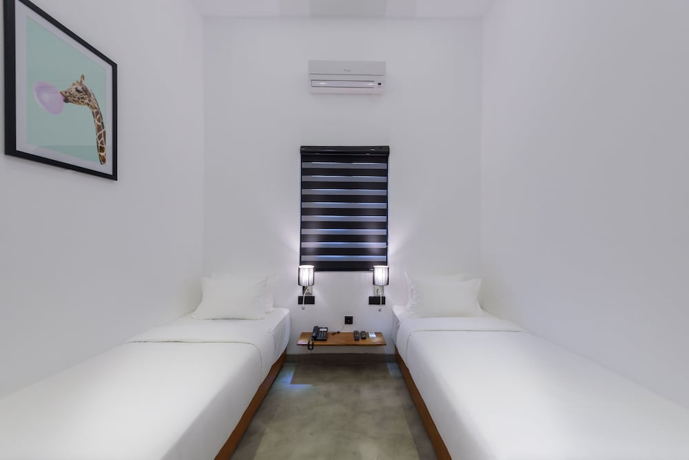 Фото Fern Colombo