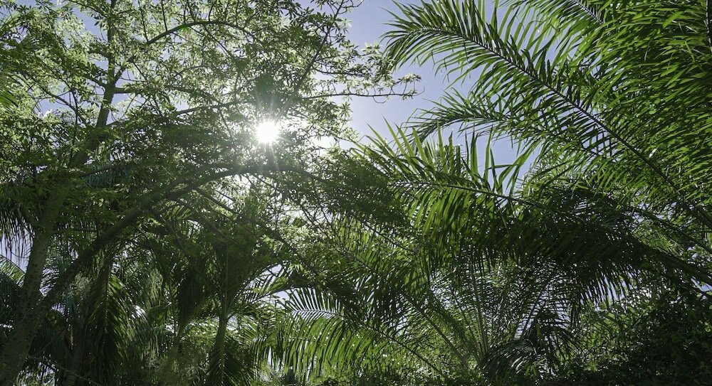 Фото Le Jardin Hotel Restaurant