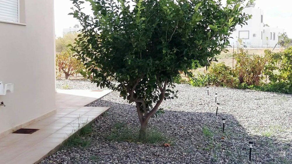 Фото Gennadi Serenity House