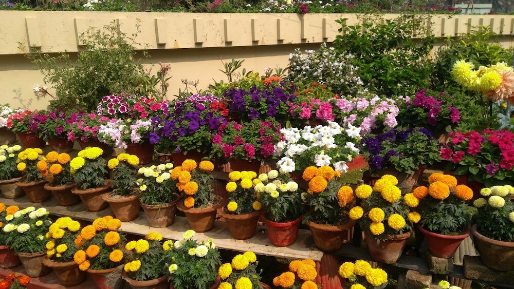 Фото Hotel Samudra