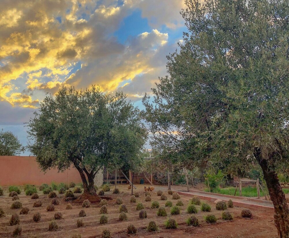 Фото Villa Kristy