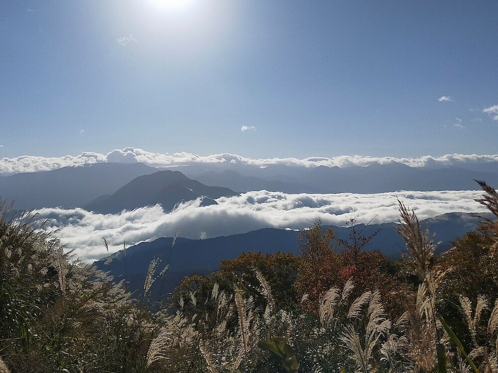 Фото Madarao Mountain Lodge