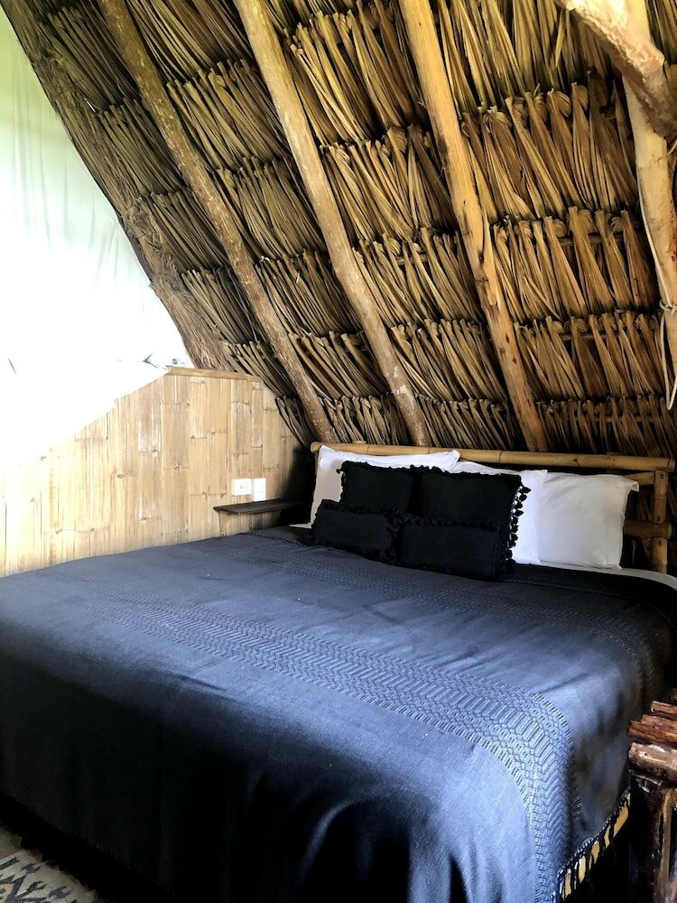 Фото I Scream House