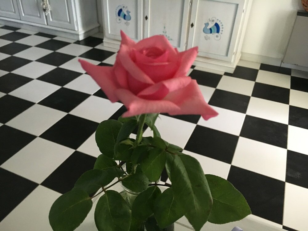 Фото BeB il Pomo D'Oro