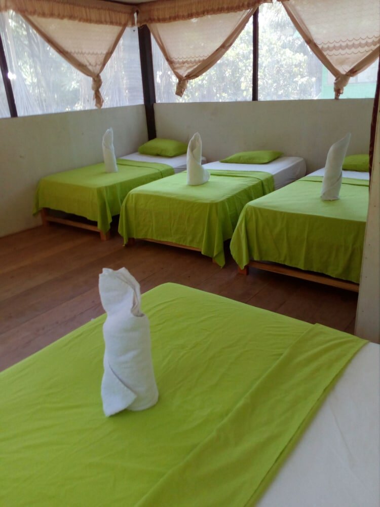 Фото Amazon Canopy Expeditions Ecolodge