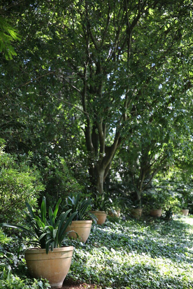 Фото Lexden Guesthouse