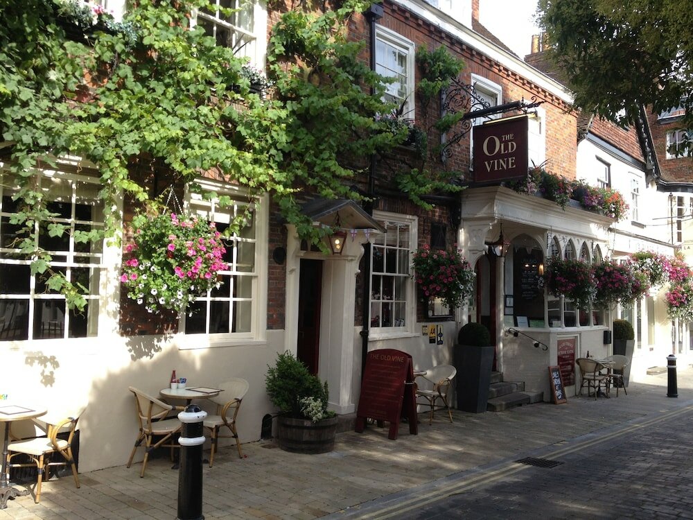 Фото The Old Vine
