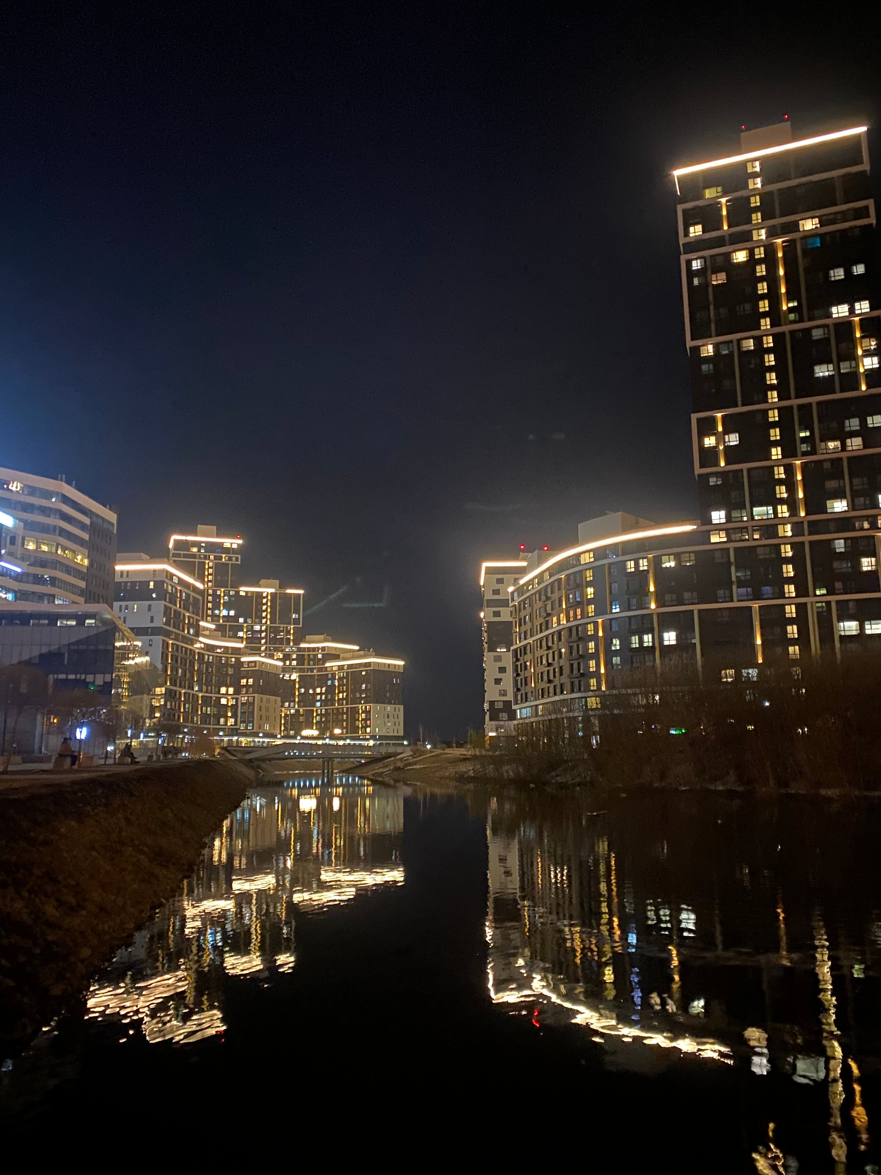 Фото Белый Клевер