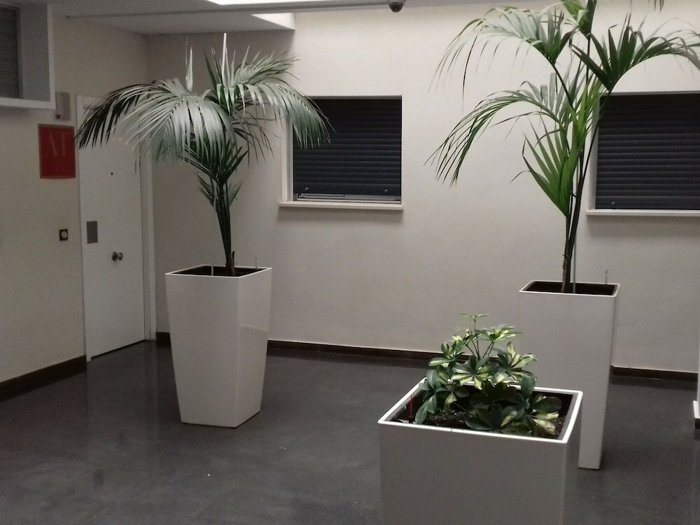 Фото Apartamentos Turísticos Los Ángeles