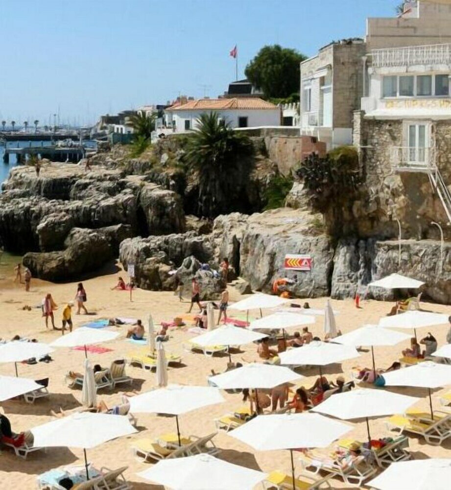 Фото Palm Guesthouse