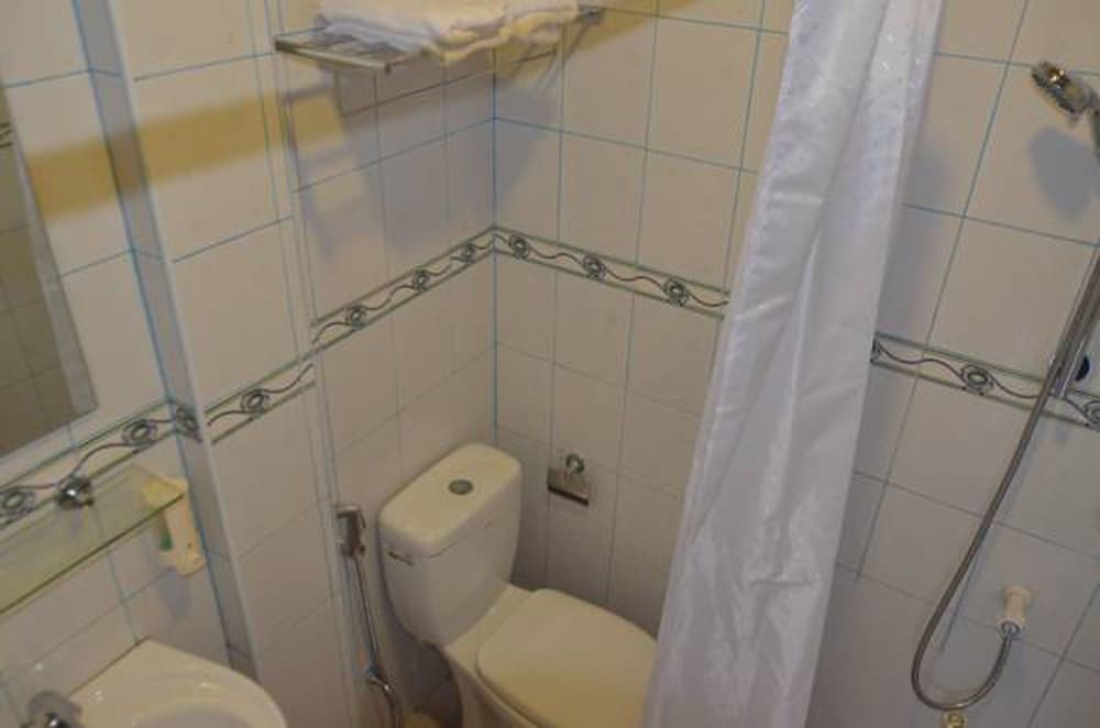 Фото Silver Shade