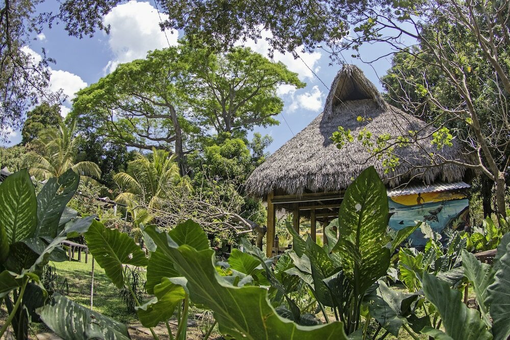 Фото Hotel Michanti