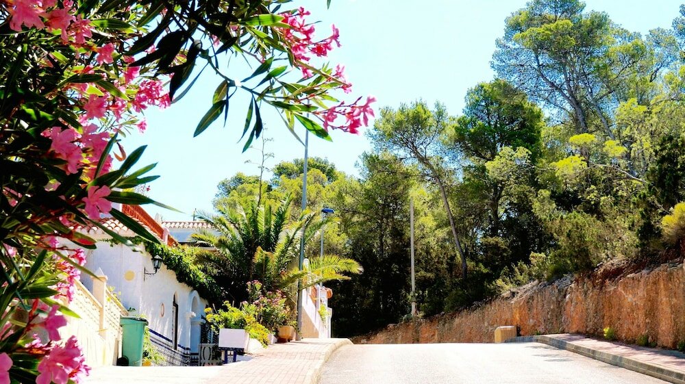 Фото Granada Apartments Ibiza