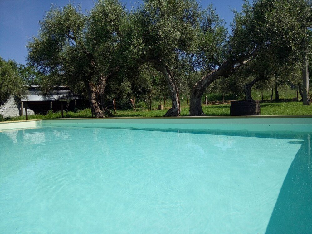 Фото La Collina Degli Ulivi