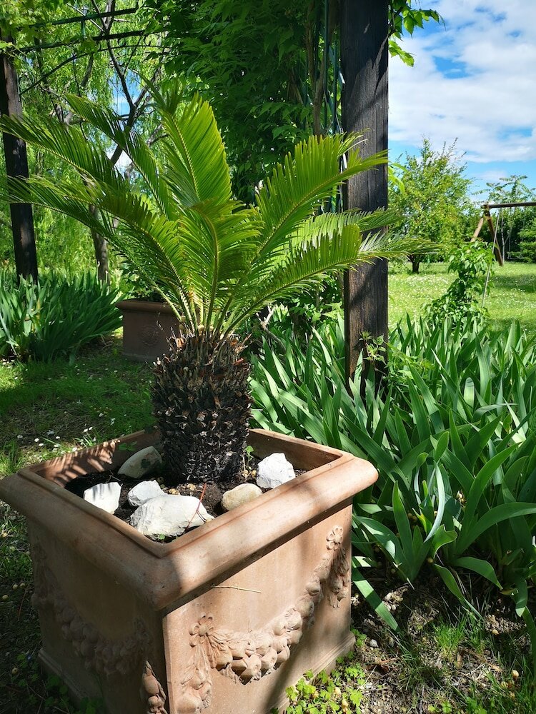 Фото La Casa sul Colle