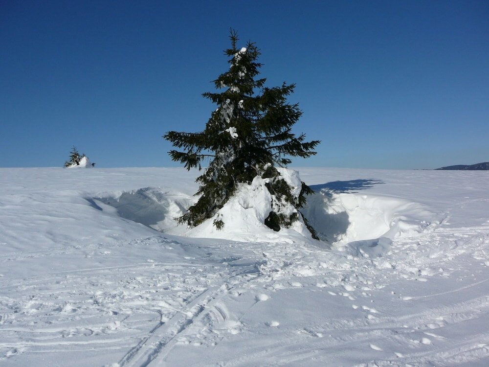 Фото Penzion Vasilko