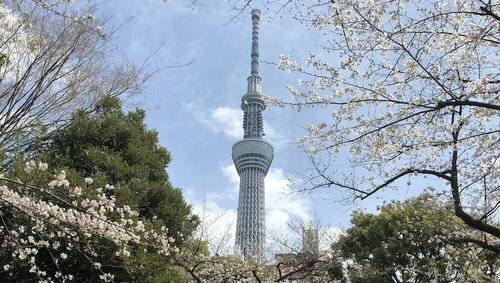 Гостиница La Krasse Sumida в Токио