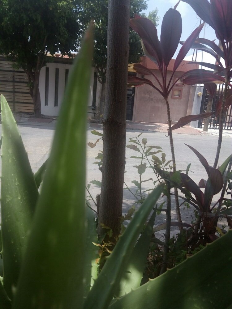 Фото Departamento Nueva Linda Vista