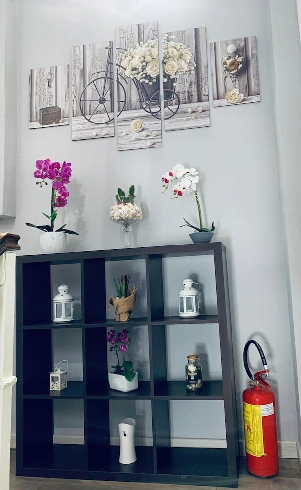 Фото Domus Regia