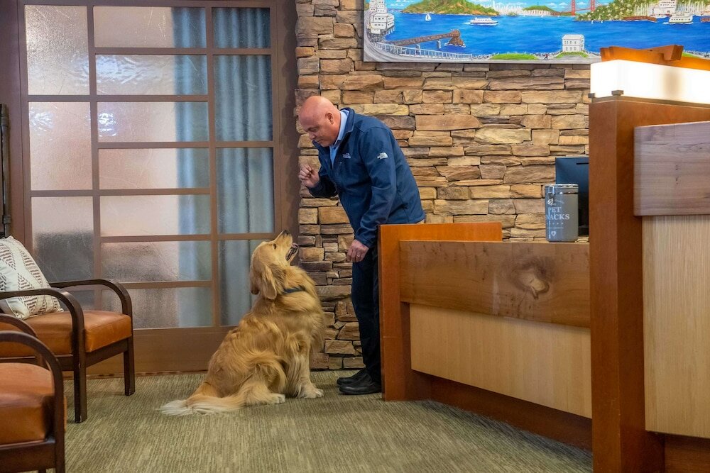 Фото The Lodge at Tiburon