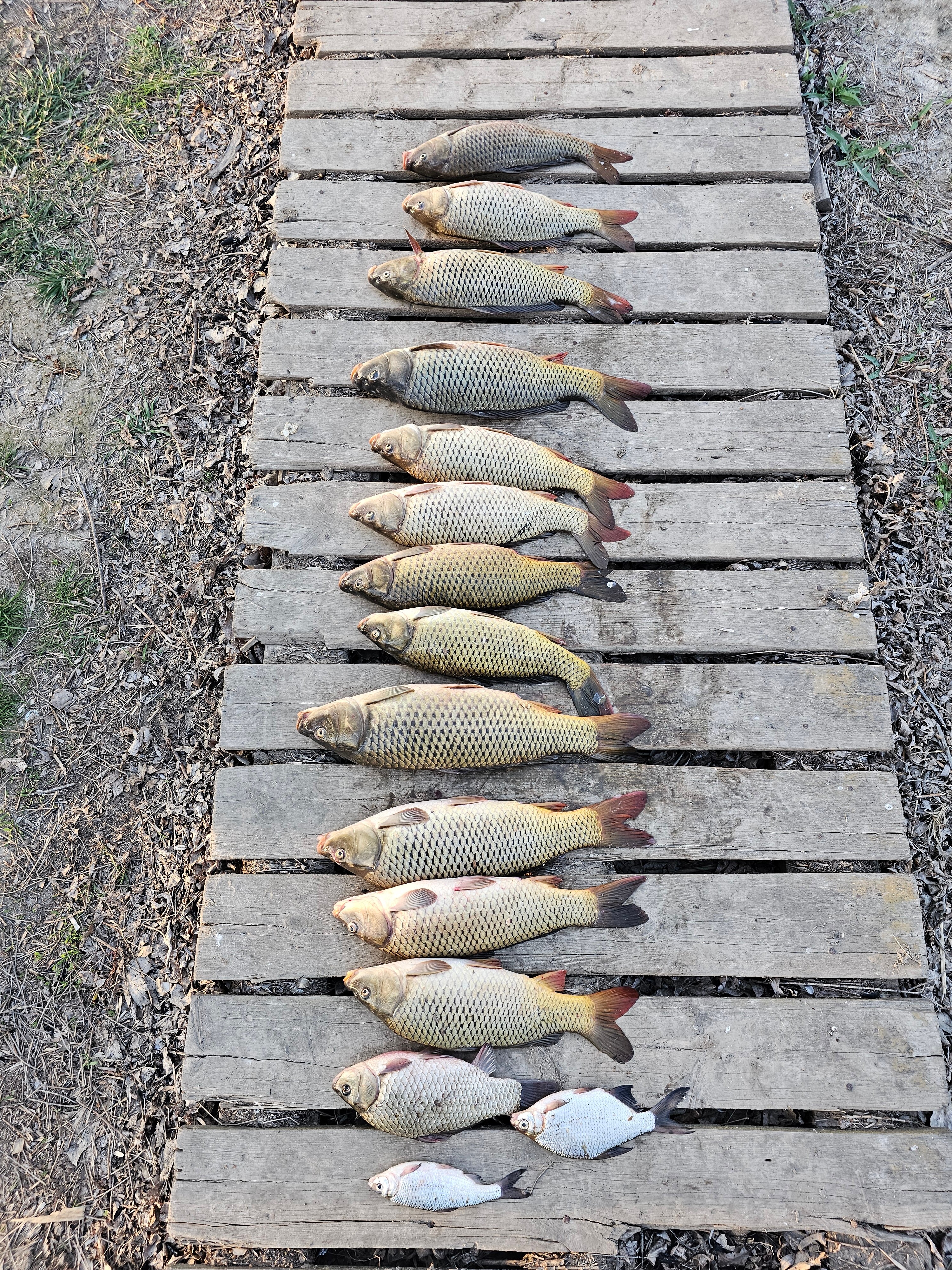 Фото Остров Тур