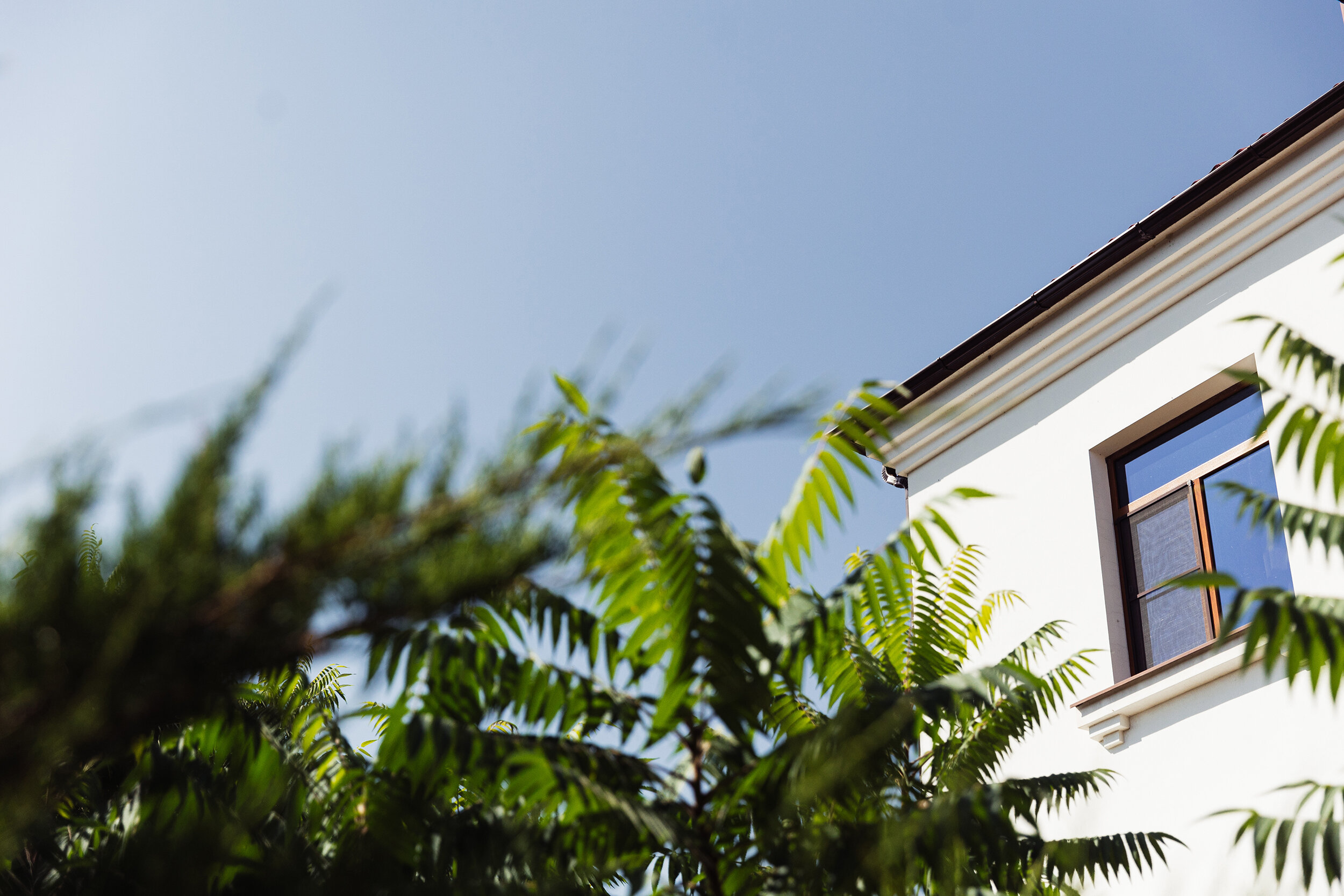 Фото Гермес