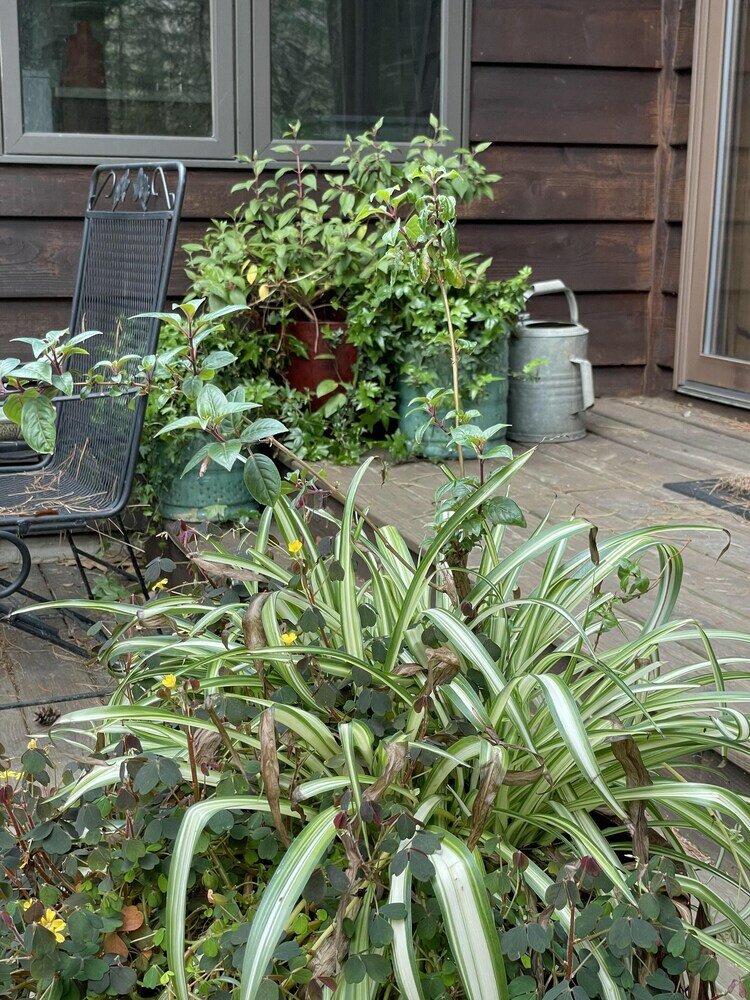 Фото J&j's Place