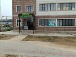 Kaspi Bank (Turan yqsham aýdany, 53), payment terminal