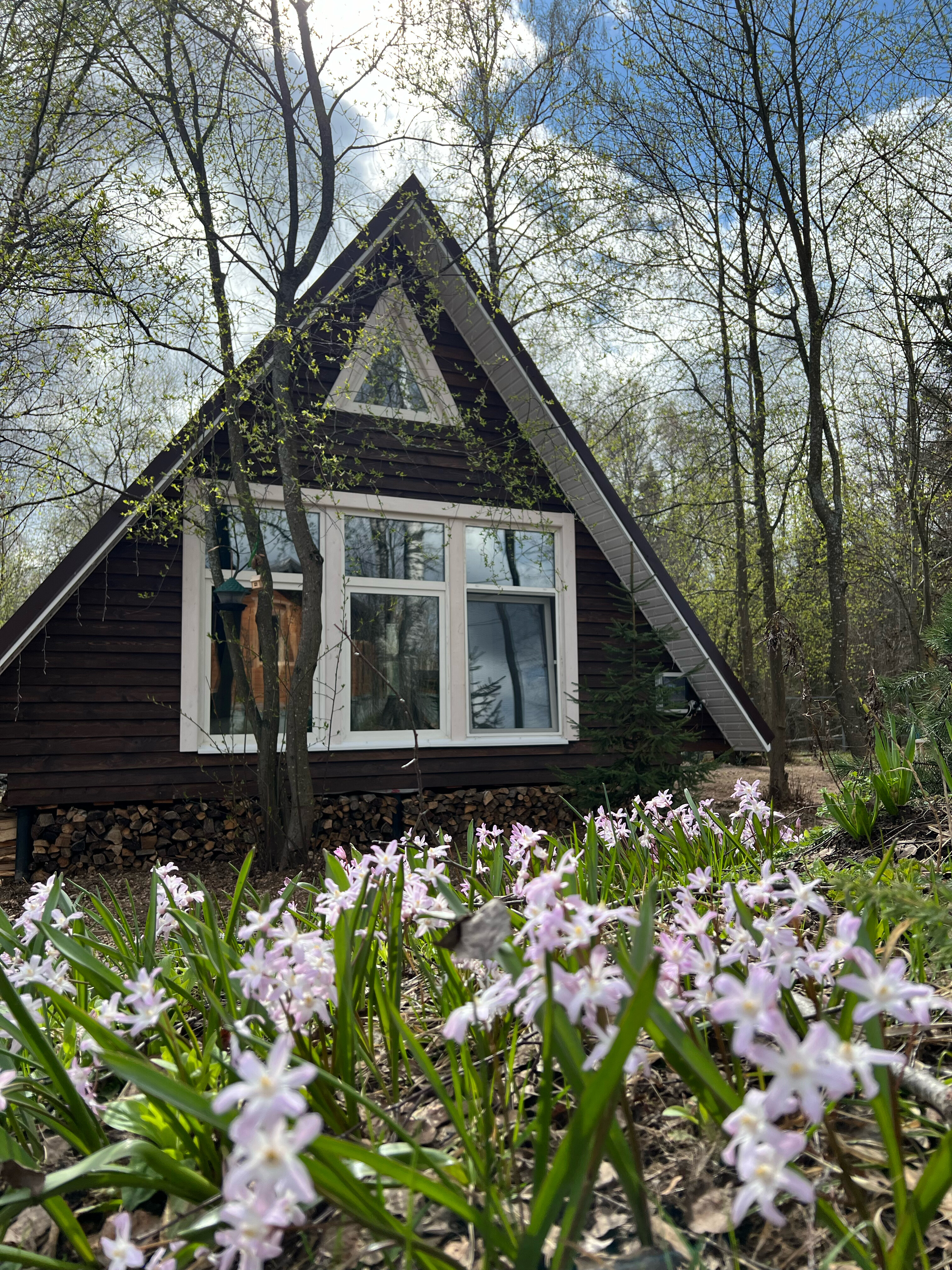 Фото Вечера в Подмосковье