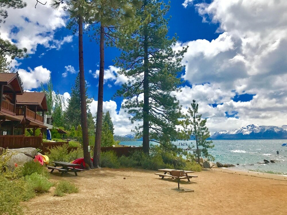 Фото Month A Month Mv19 Willow