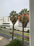 Real Plaza Salaverry (Distrital Jesus Maria, Avenida Eduardo Avaroa), shopping mall