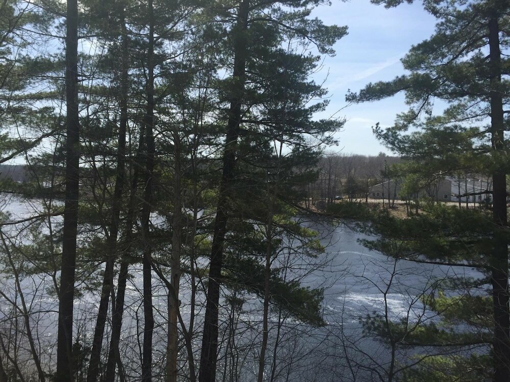 Фото Milford Motel On The River