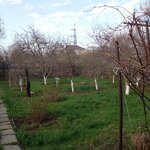 Vishnevy sad (Sirenevaya ulitsa, 12), asociaciones y sociedades hortícolas