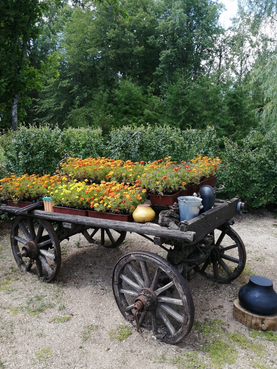 Фото Дом в Русском Стиле