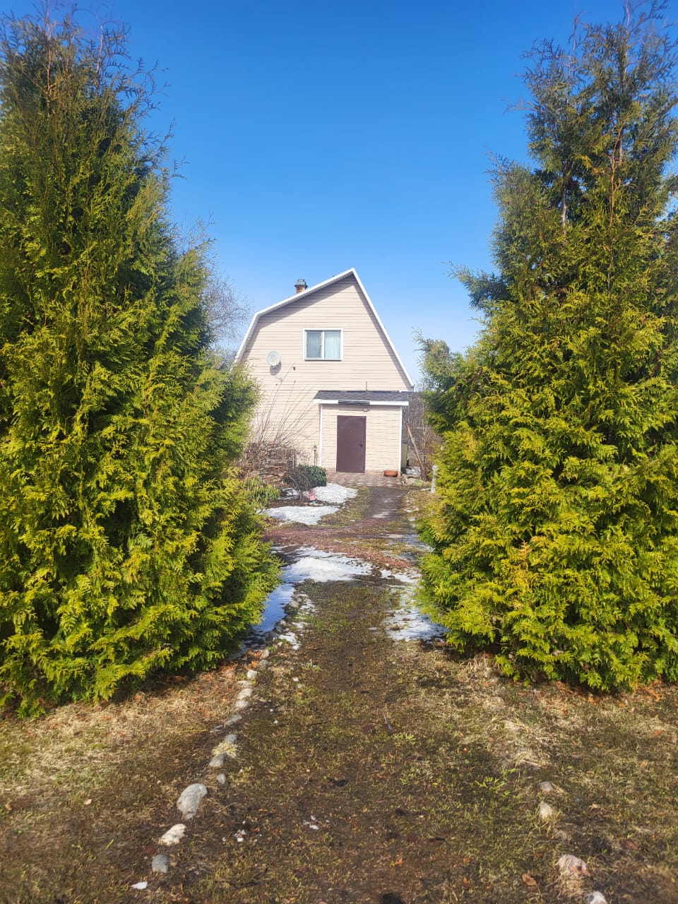 Фото Плотично