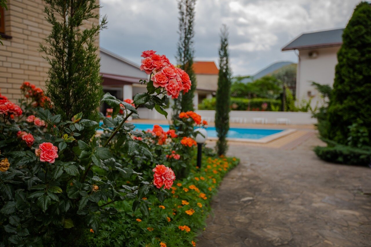 Фото Золотые ворота