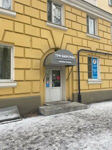 Гостиница Три барсука