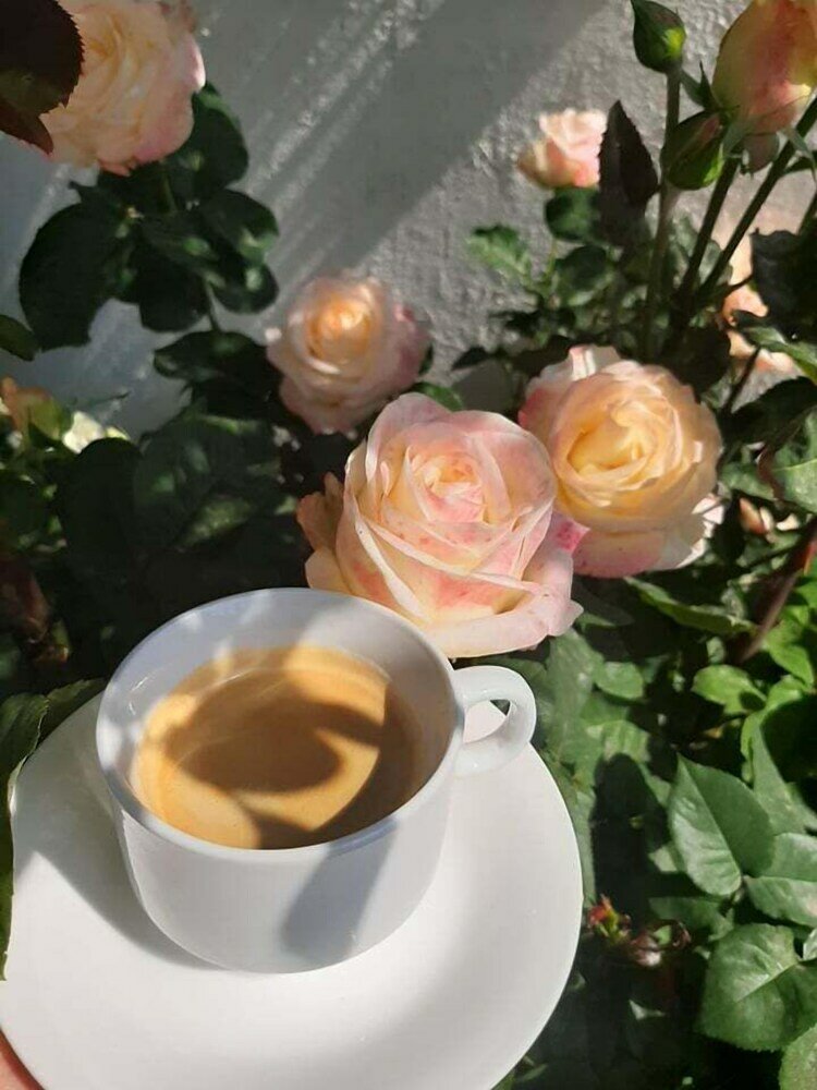 Фото Арагац