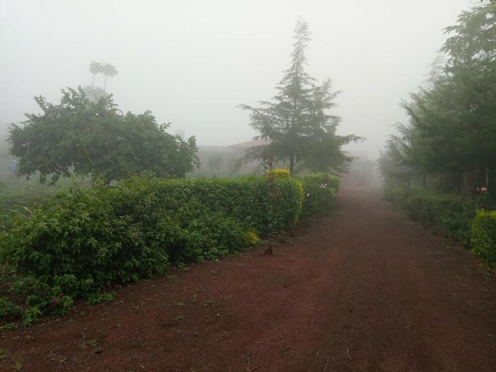 Фото St. Catherine Monastery
