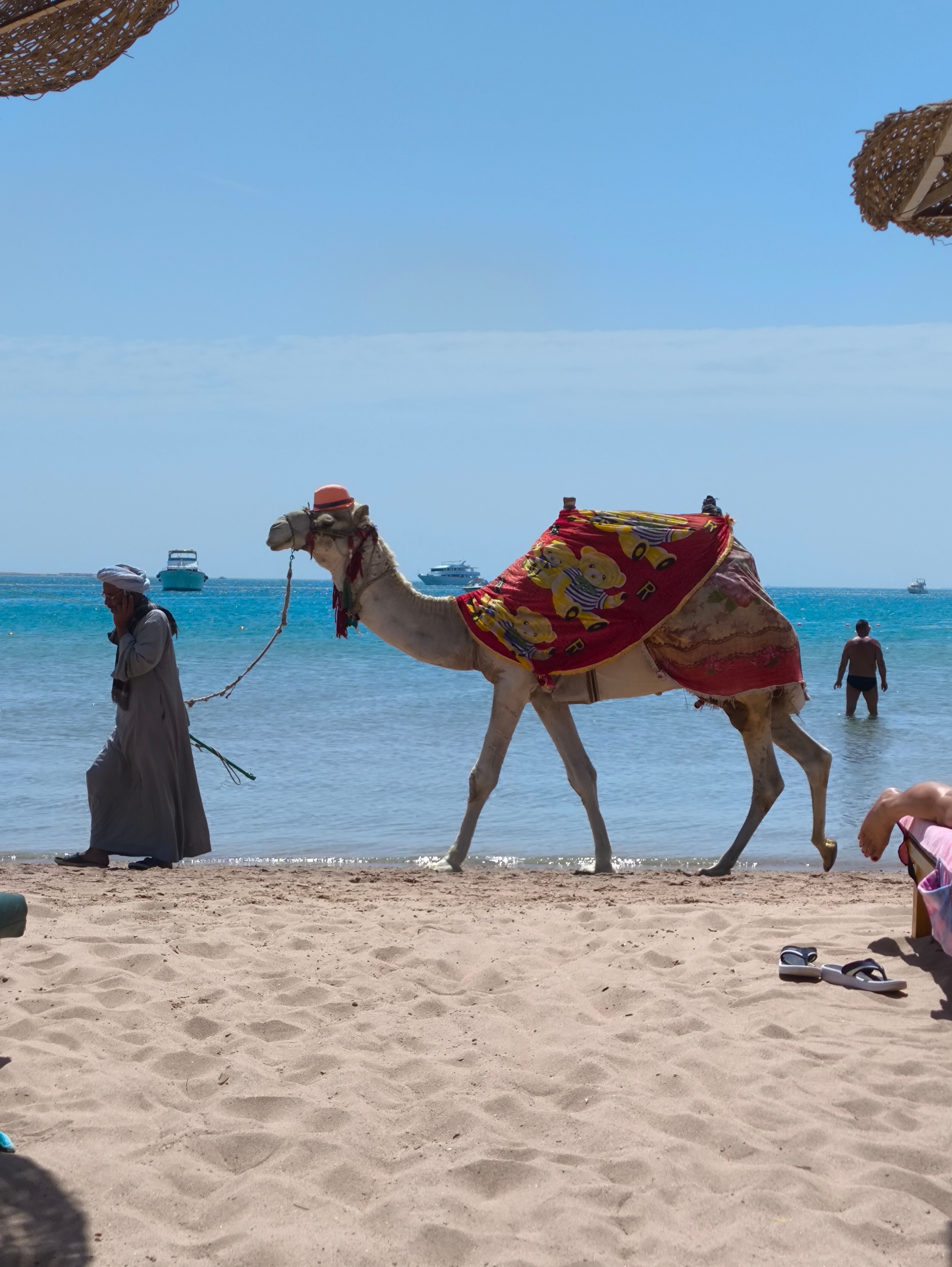 Фото Giftun Azur Resort