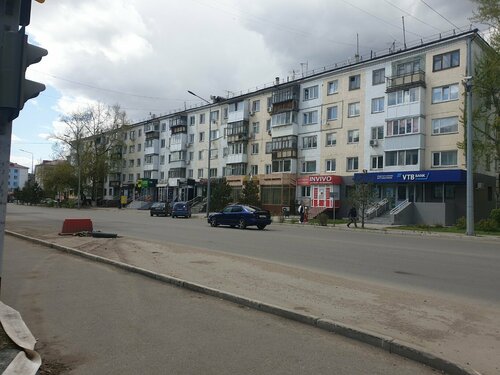 Неміс кискасының жақыннан түсірілген видеосы