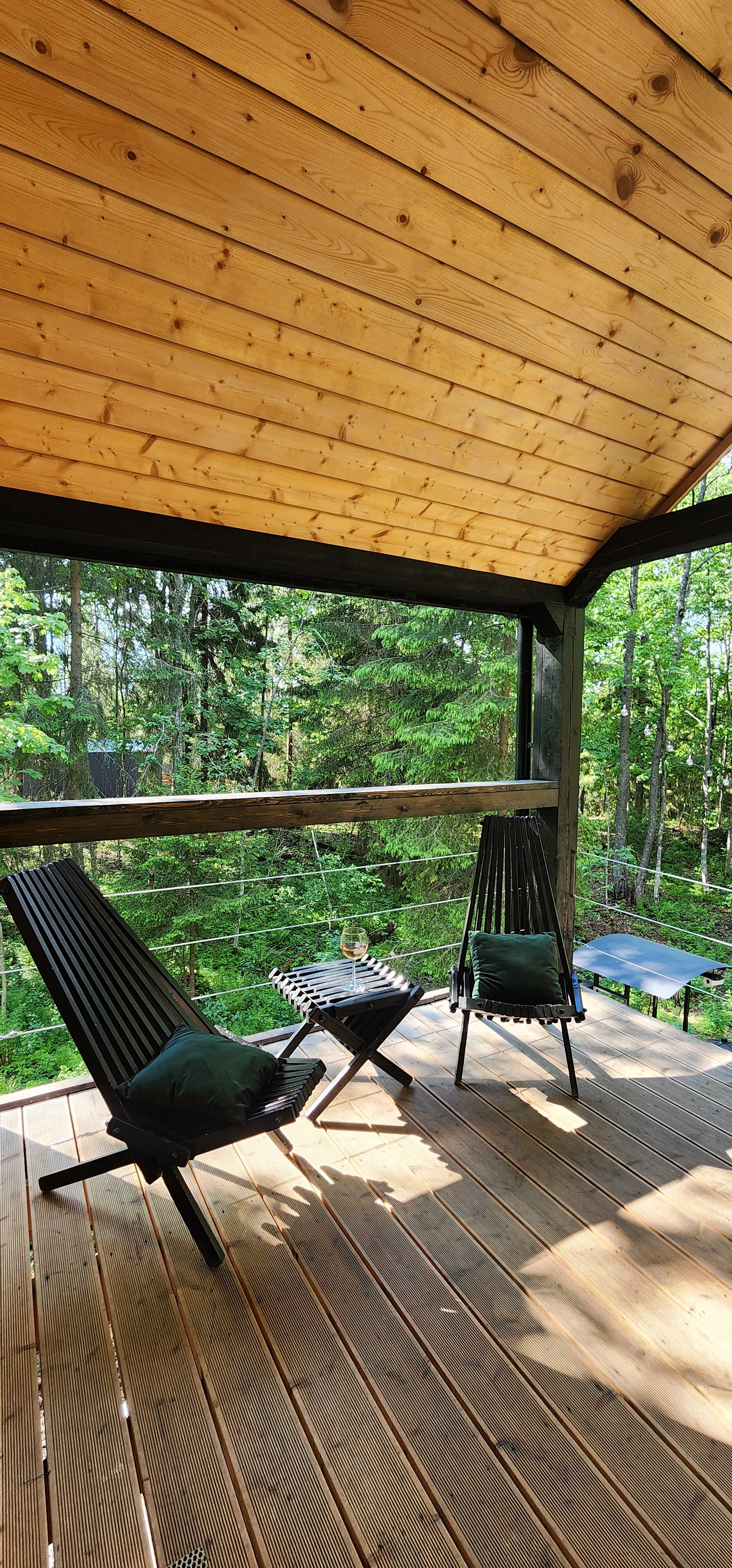 Фото Лес и Гора