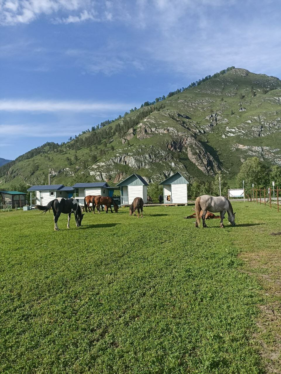 Фото Домики