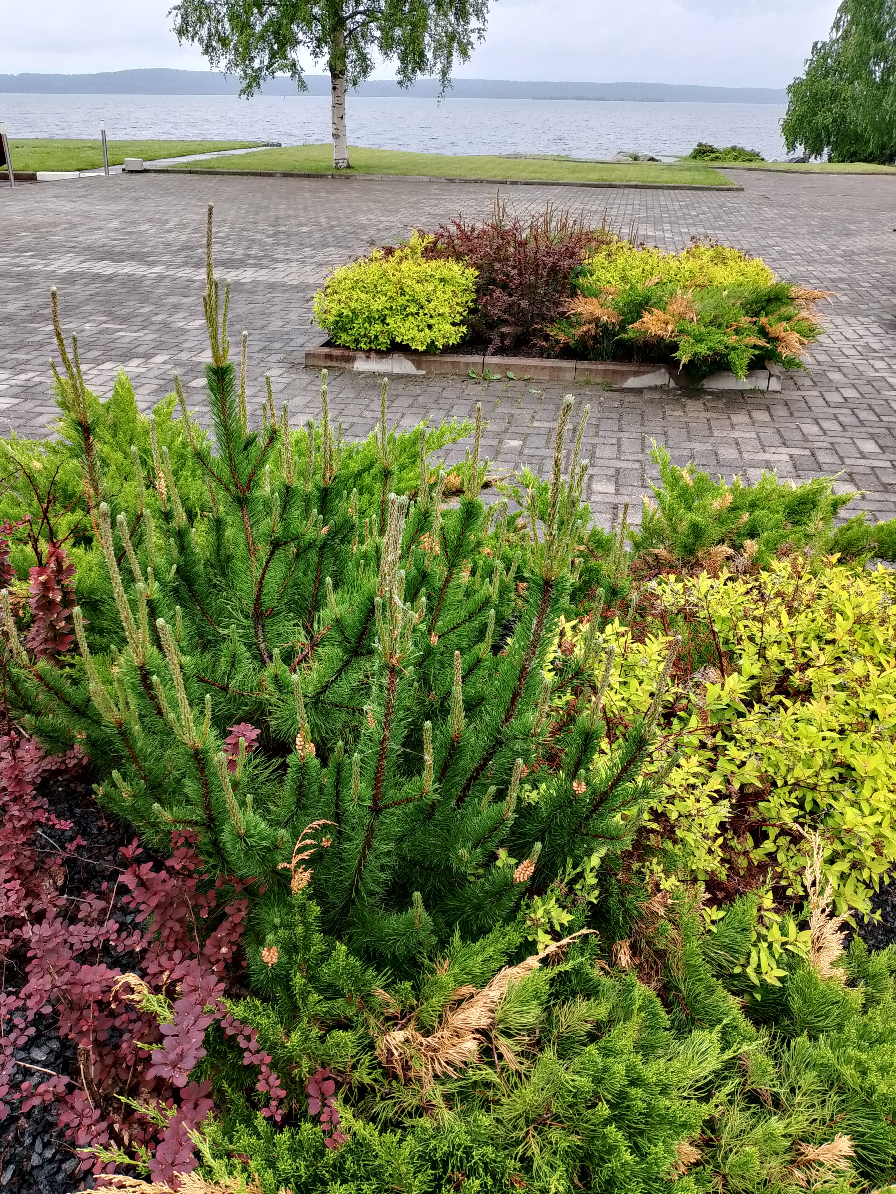 Фото Прионежский